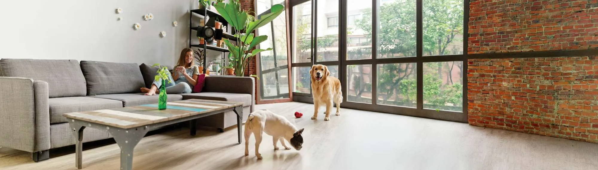 Women smiling with 2 dogs in her condo Women smiling with 2 dogs in her condo